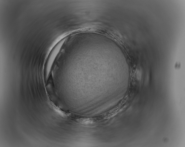 X0000097860100200803281321