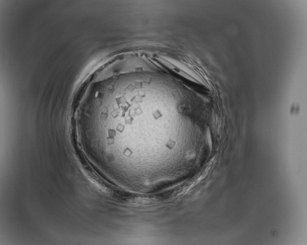 X0000097860101200803281321