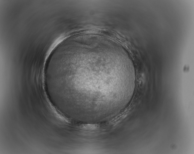 X0000097860102200803281321