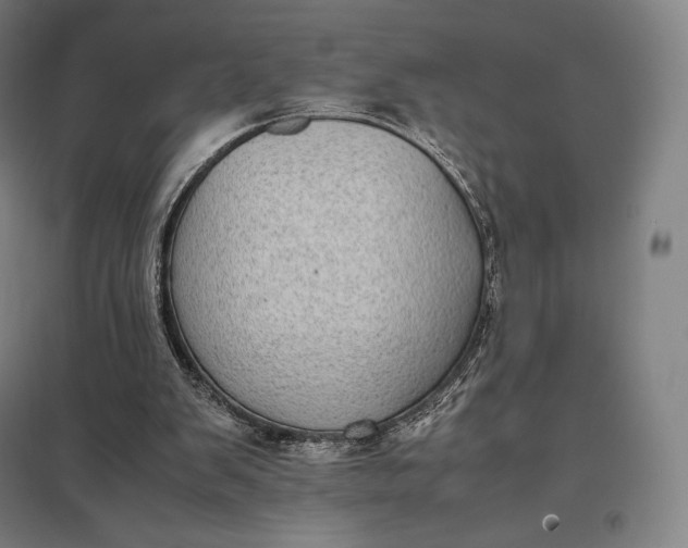 X0000097860103200803281321