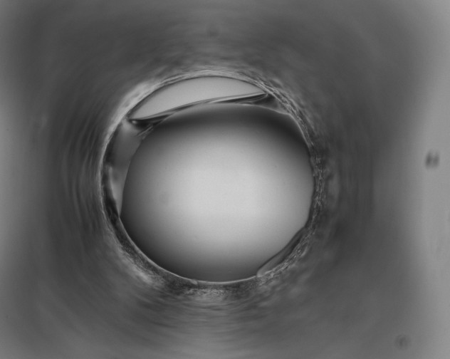 X0000097860104200803281321