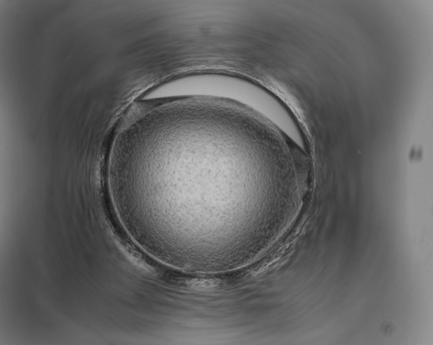 X0000097860105200803281321