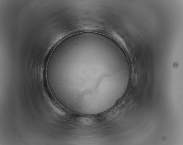 X0000097860106200803281321