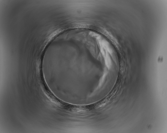 X0000097860107200803281321