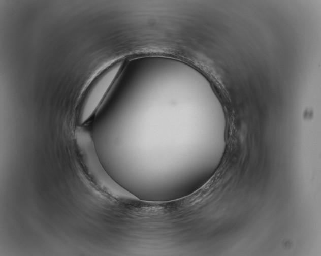 X0000097860108200803281321