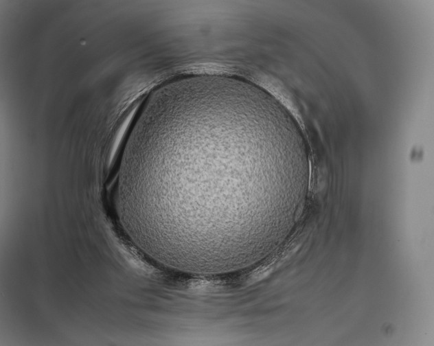 X0000097860109200803281321