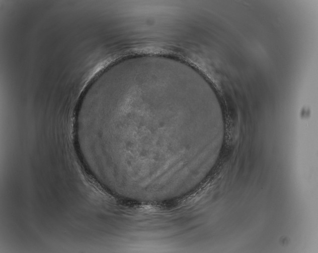 X0000097860111200803281321