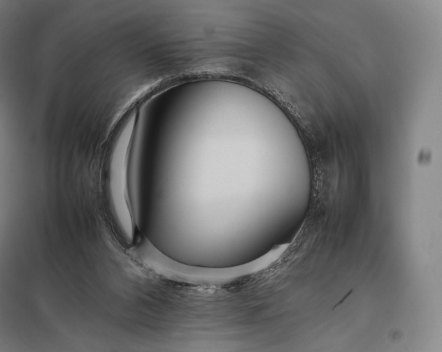 X0000097860112200803281321