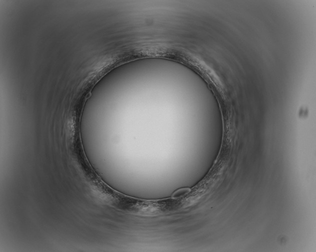 X0000097860113200803281321