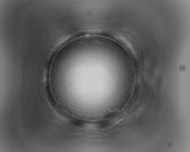 X0000097860115200803281321