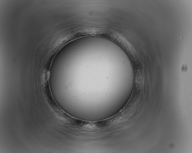 X0000097860119200803281320