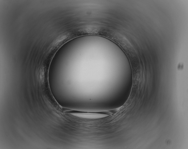 X0000097860120200803281320