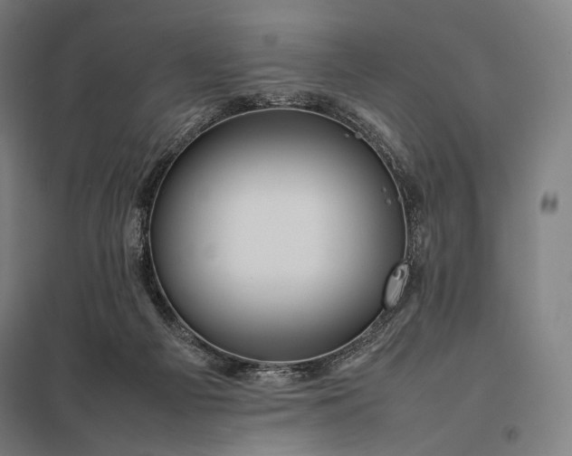 X0000097860121200803281320