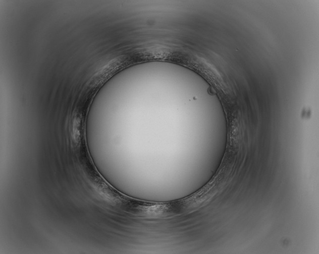 X0000097860122200803281320