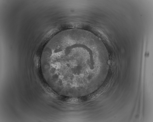 X0000097860123200803281320