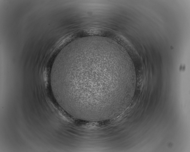 X0000097860124200803281320