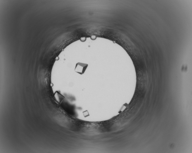 X0000097860125200803281320