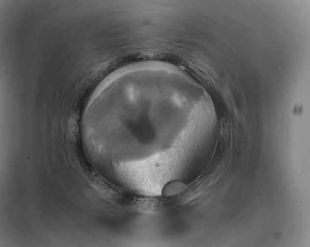 X0000097860127200803281320