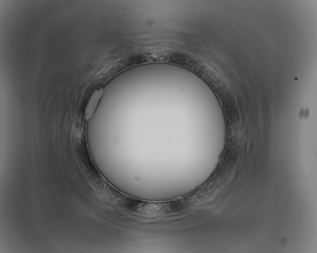 X0000097860129200803281320