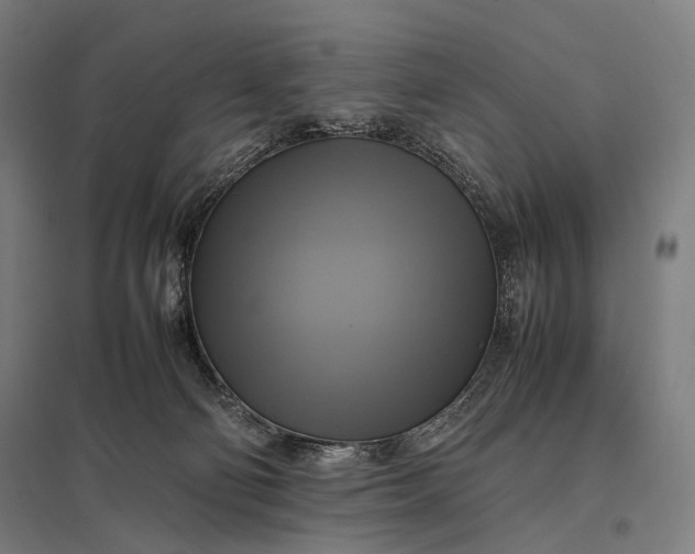 X0000097860130200803281320