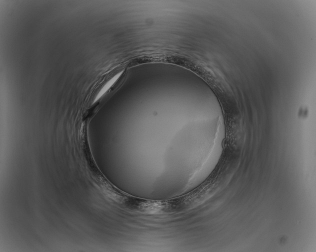 X0000097860131200803281320