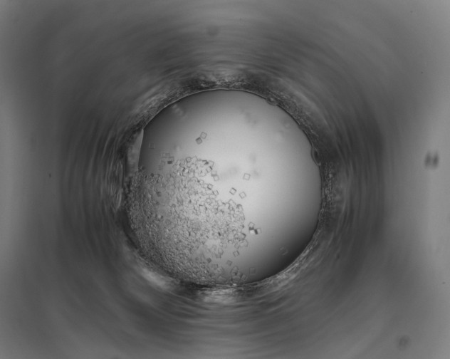 X0000097860132200803281320