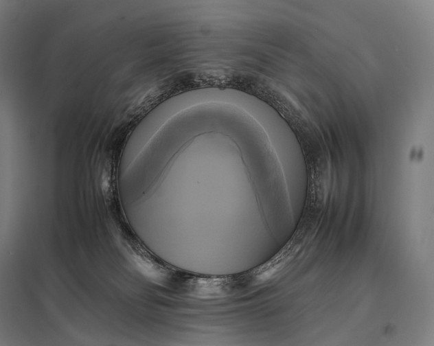 X0000097860134200803281320