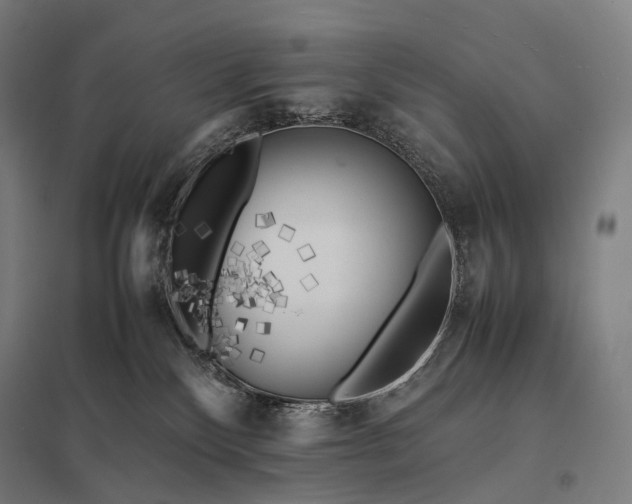 X0000097860136200803281320