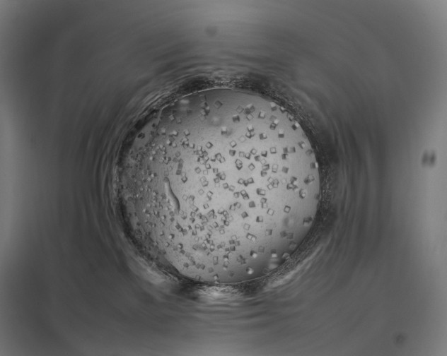 X0000097860137200803281320