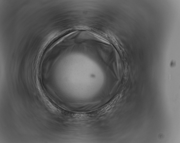 X0000097860145200803281319