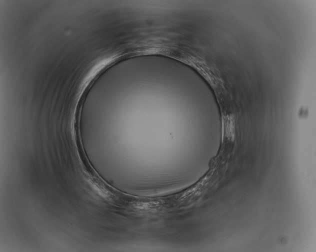 X0000097860147200803281319