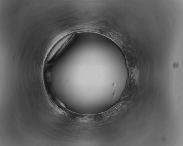 X0000097860148200803281319