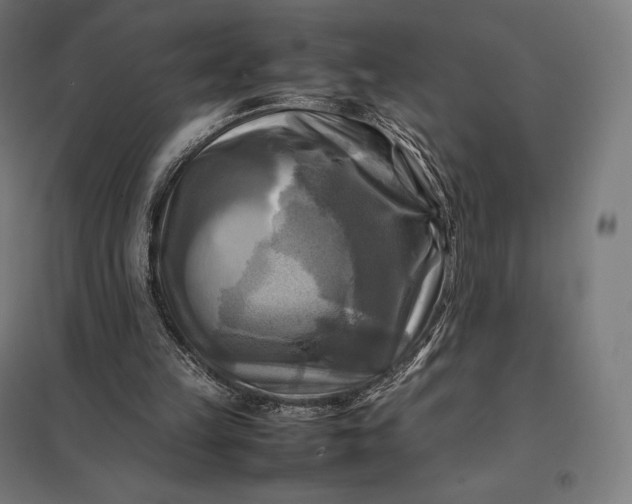 X0000097860149200803281319