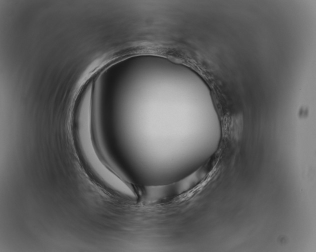 X0000097860150200803281319