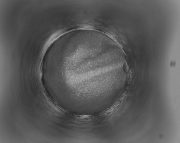 X0000097860151200803281319