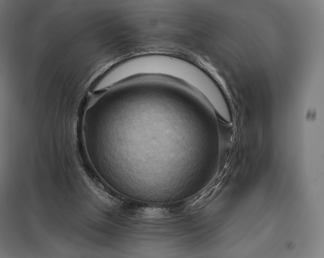 X0000097860154200803281319