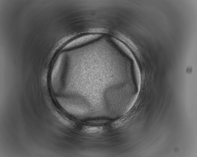 X0000097860155200803281319