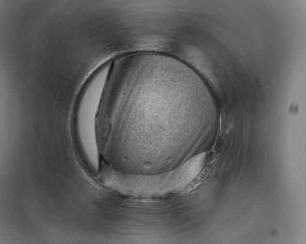 X0000097860156200803281319