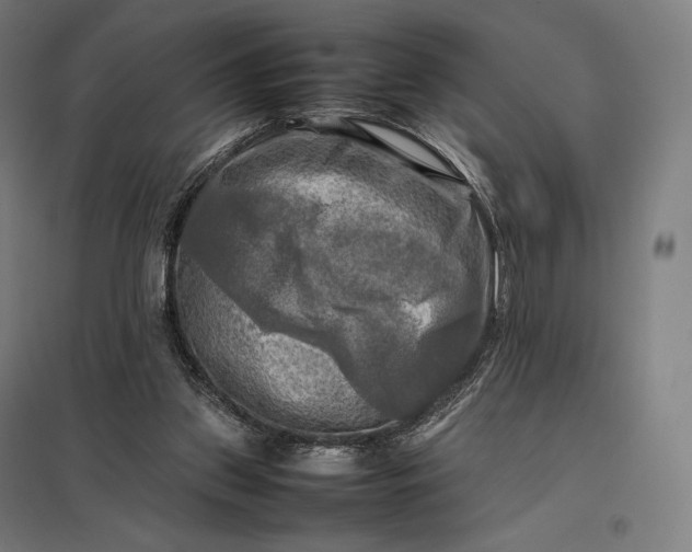 X0000097860157200803281319