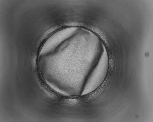 X0000097860159200803281320