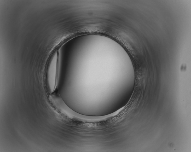 X0000097860160200803281320