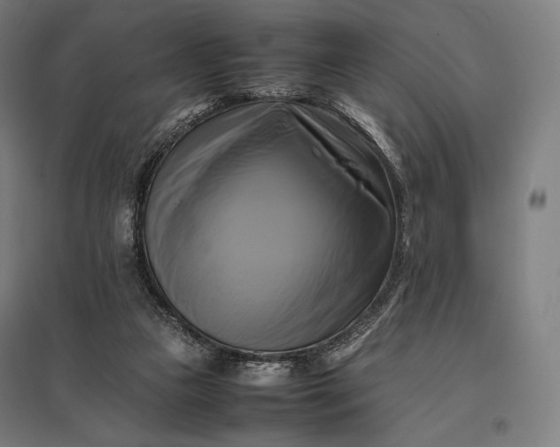 X0000097860161200803281320