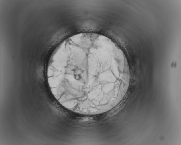 X0000097860162200803281320