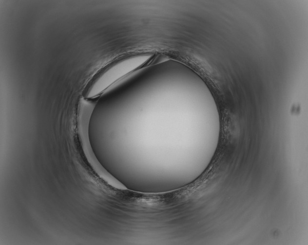 X0000097860164200803281320