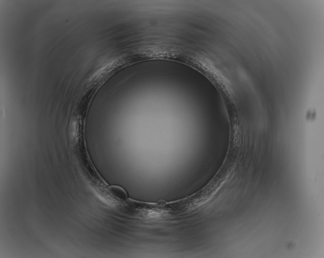 X0000097860165200803281320