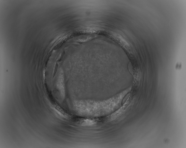 X0000097860166200803281320