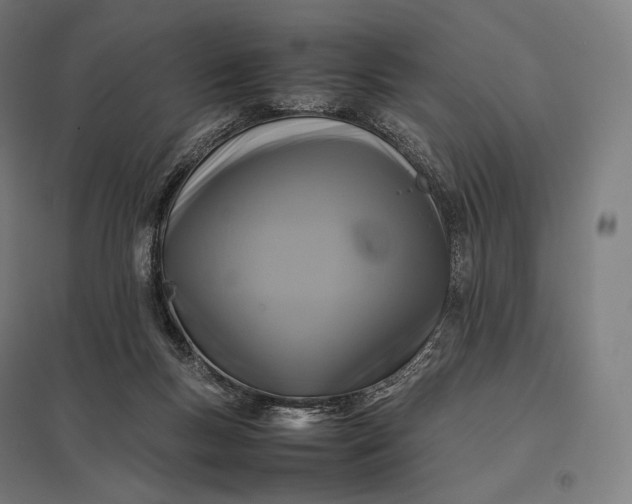 X0000097860167200803281320