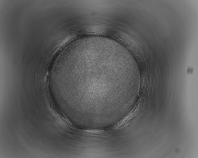 X0000097860168200803281320