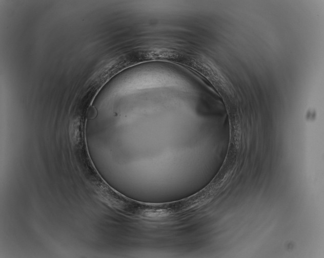 X0000097860169200803281320