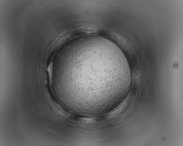 X0000097860170200803281320